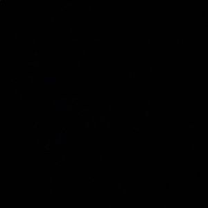 Meet your Posher, Celeste